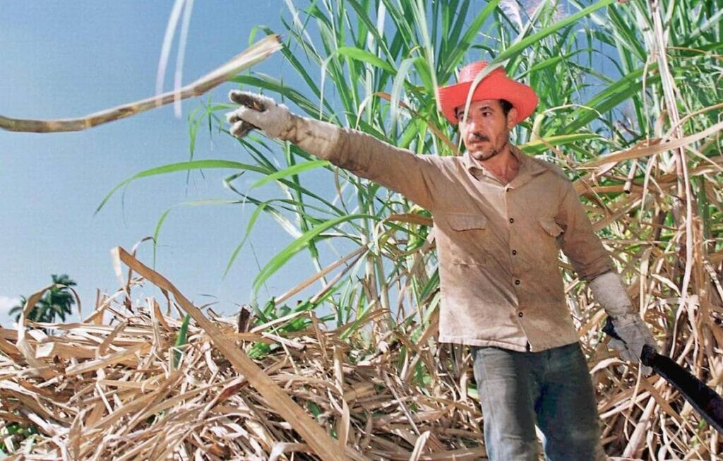 La zafra en Villa Clara fue un desastre