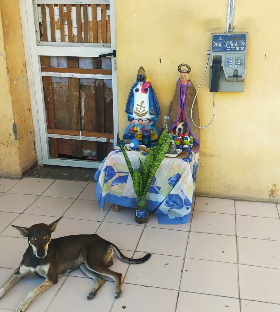 VEINTICINCO PARA CADA UNO