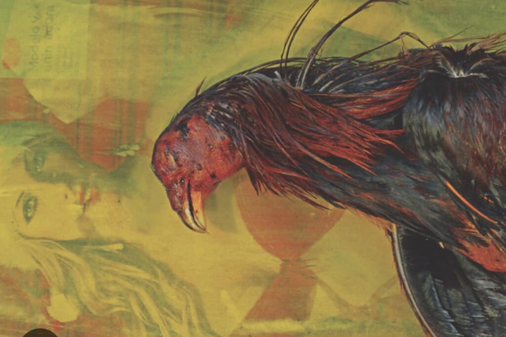 LA GUAPERÍA SELECTIVA