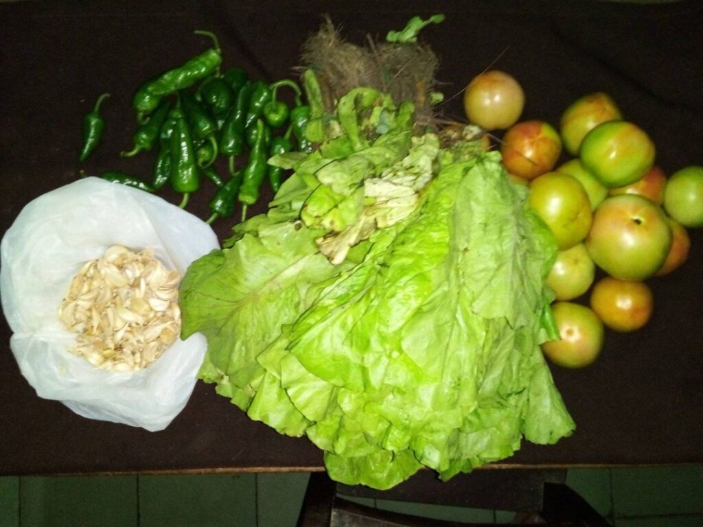 ¿LA ÚLTIMA FERIA DE MI PUEBLO?