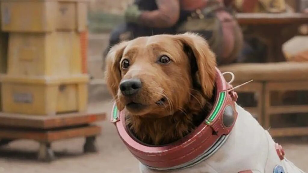 LOS ANIMALES QUE VIAJARON AL ESPACIO