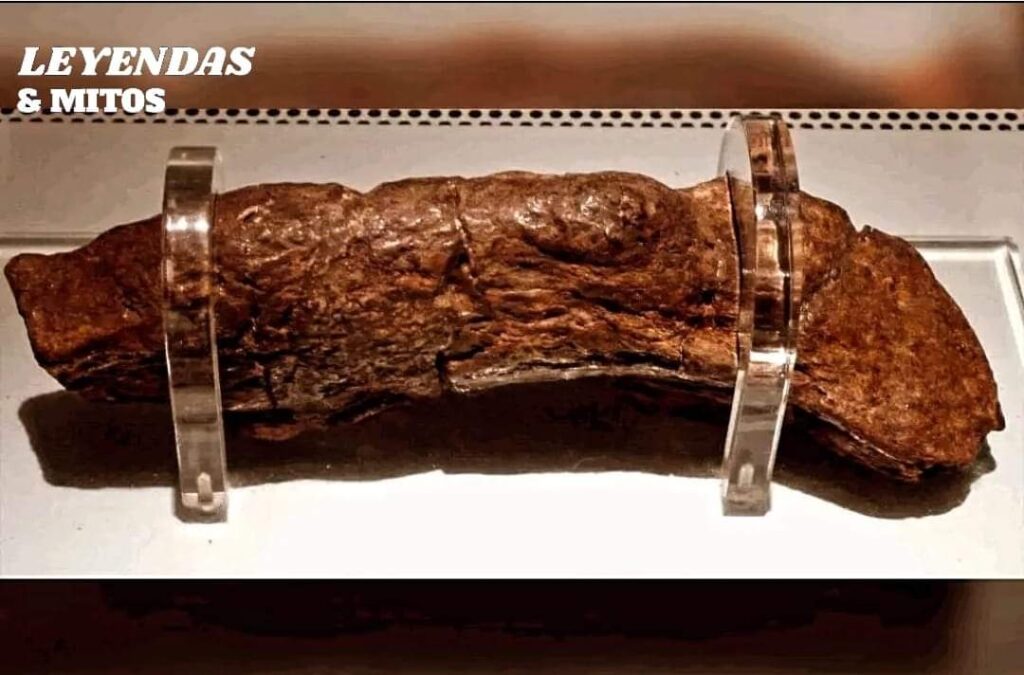 UNA HISTORIA DE MIERDA