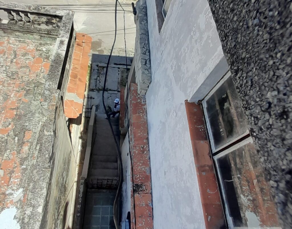 LOS ENCANTOS DE LA CALLE FLORES