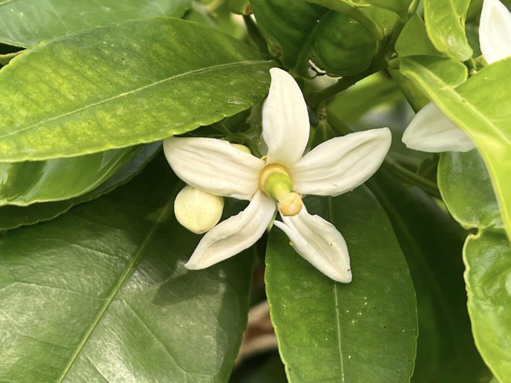 PONERSE SERIO A VECES FUNCIONA 7 PONERSE SERIO A VECES FUNCIONA