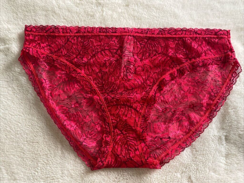 EL BLUMER DE ENCAJE ROJO