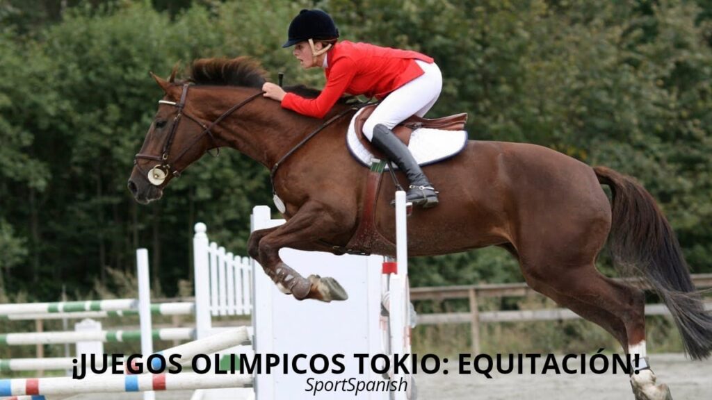 LA FEDERACIÓN ECUESTRE REFORZARÁ EL BIENESTAR EQUINO EN PARÍS 2024