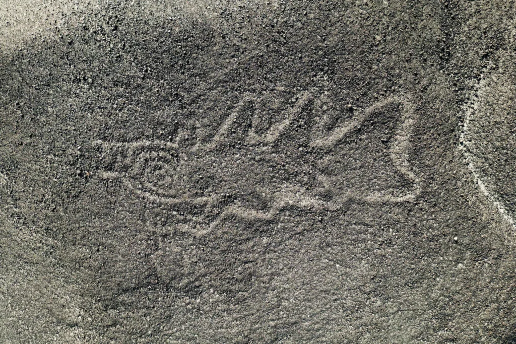 LA INTELIGENCIA ARTIFICIAL PERMITE IDENTIFICAR 303 NUEVAS FIGURAS EN NAZCA 7 LA INTELIGENCIA ARTIFICIAL PERMITE IDENTIFICAR 303 NUEVAS FIGURAS EN NAZCA