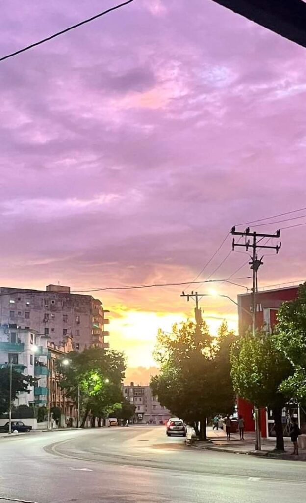 LA SOMBRA HA BORRADO SU MEMORIA