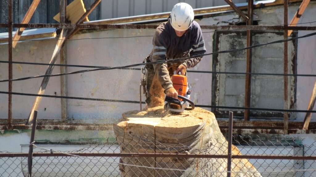 ES PREFERIBLE LA VIDA