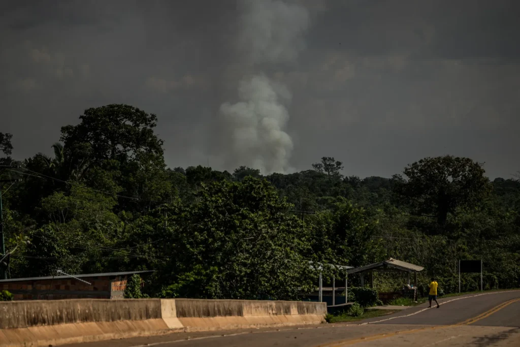 LA DEFORESTACIÓN EN LA AMAZONÍA DE BRASIL SIGUE A LA BAJA Y CAE OTRO 31 POR CIENTO EN EL ÚLTIMO AÑO