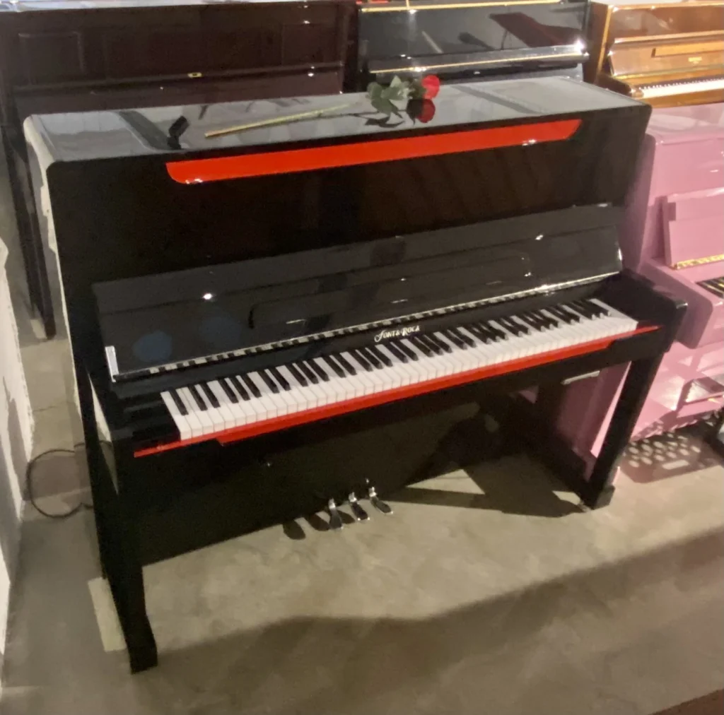 LA SUERTE DE TENER UN PIANO