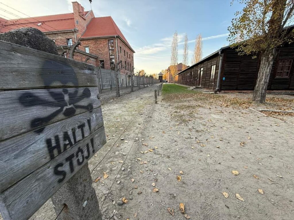 LA MALDAD TIENE ALAMBRES DE ESPINAS