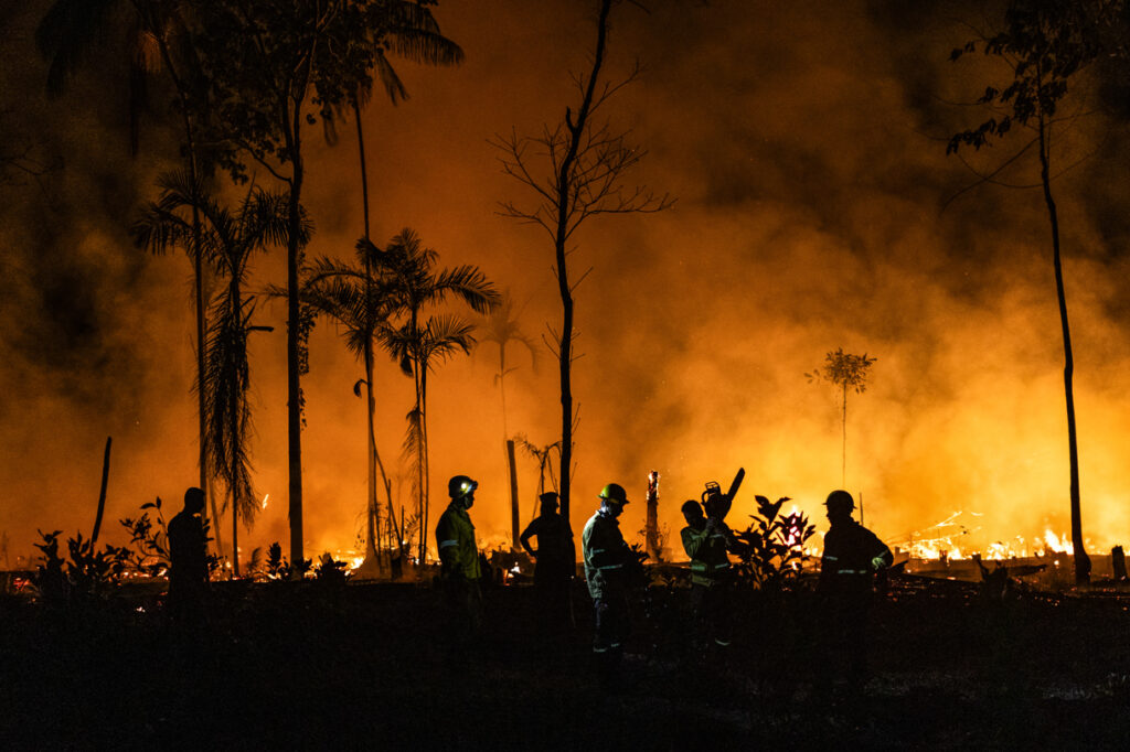 EL ÁREA DESTRUIDA POR LOS INCENDIOS FORESTALES EN BRASIL SALTÓ UN 90 POR CIENTO EN NOVIEMBRE 6 EL ÁREA DESTRUIDA POR LOS INCENDIOS FORESTALES EN BRASIL SALTÓ UN 90 POR CIENTO EN NOVIEMBRE