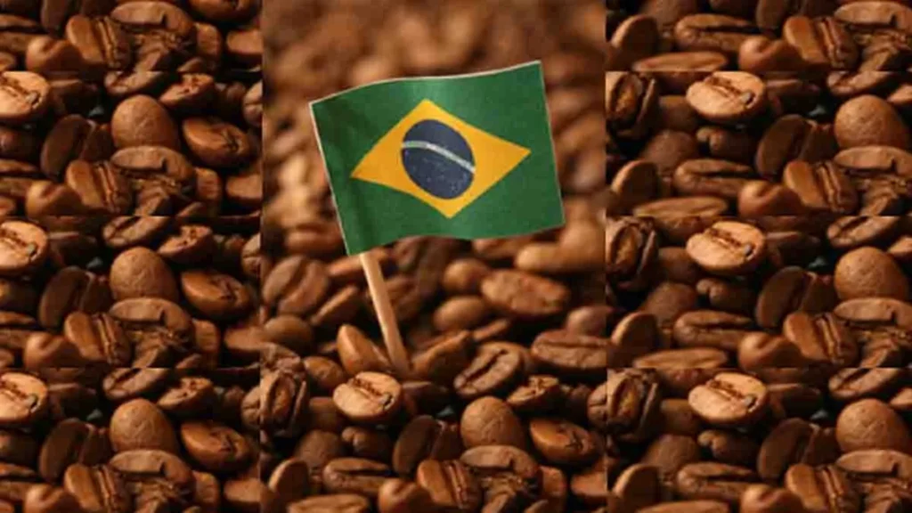 BRASIL EXPORTÓ UN RÉCORD DE 46.4 MILLONES DE SACOS DE CAFÉ HASTA NOVIEMBRE