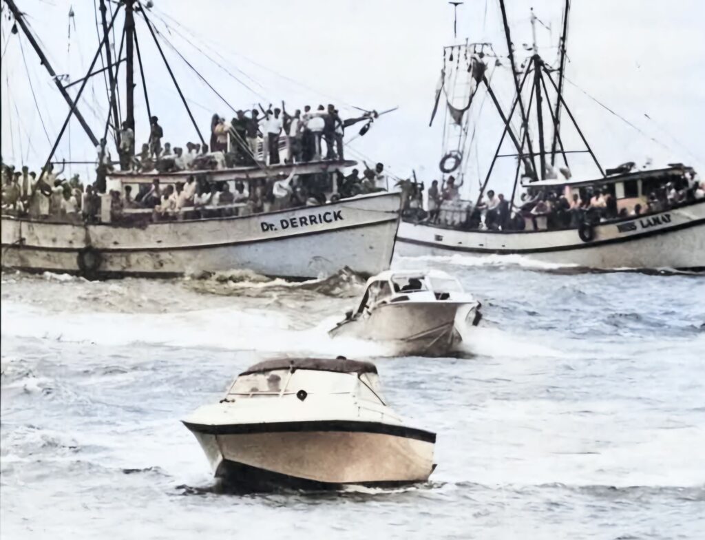 EXCLUIBLE 6 EXCLUIBLE