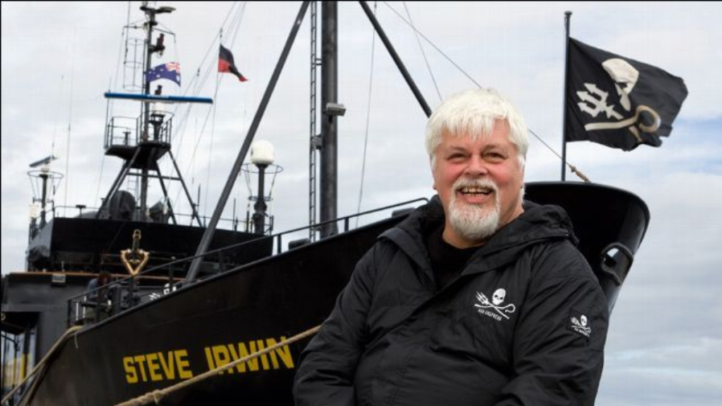 EL DEFENSOR DE BALLENAS PAUL WATSON DICE QUE NO ABANDONARÁ SU LUCHA, TRAS SER LIBERADO