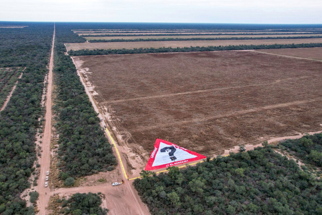 LA DEFORESTACIÓN ACABA CON 150 MIL HECTÁREAS DE BOSQUE NATIVO EN EL NORTE DE ARGENTINA