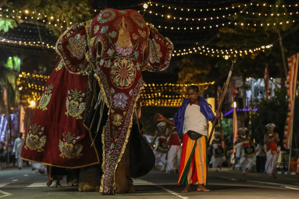 AL MENOS 23 HERIDOS POR EL ATAQUE DE UN ELEFANTE DURANTE UN FESTIVAL EN EL SUR DE LA INDIA 3 AL MENOS 23 HERIDOS POR EL ATAQUE DE UN ELEFANTE DURANTE UN FESTIVAL EN EL SUR DE LA INDIA