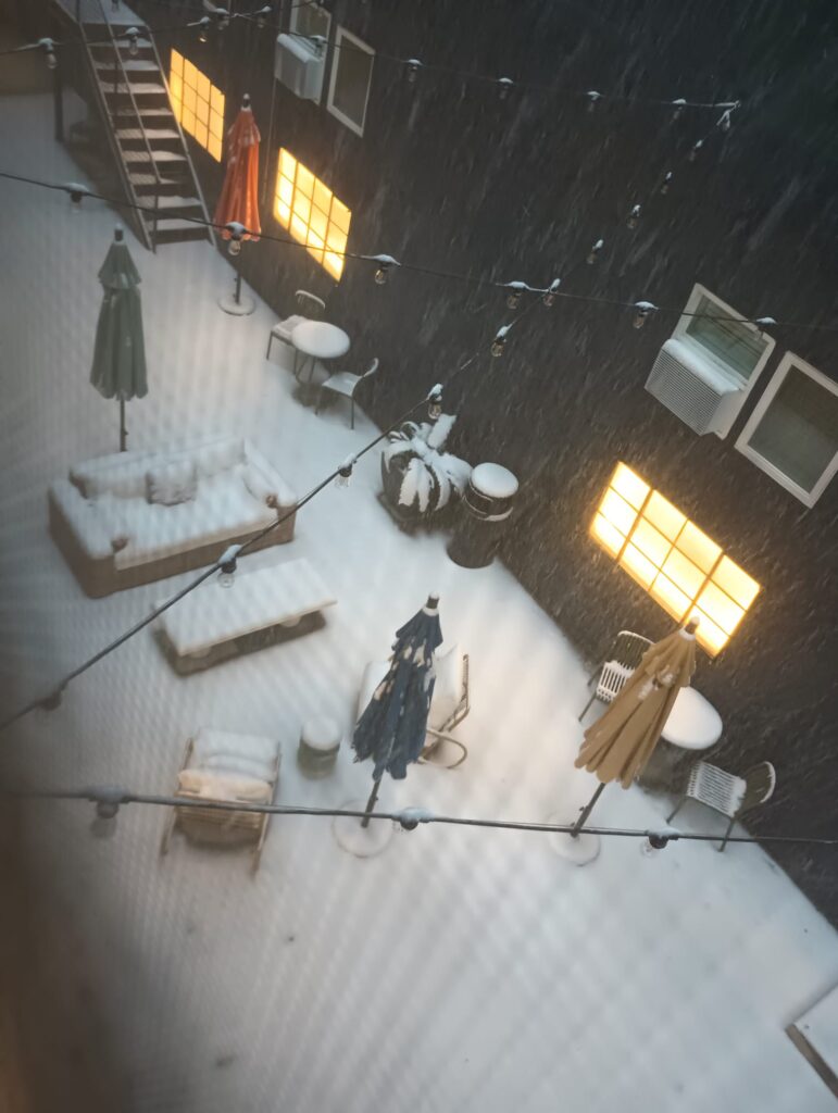 MÁS DE MEDIO SIGLO PARA VER UNA NEVADA