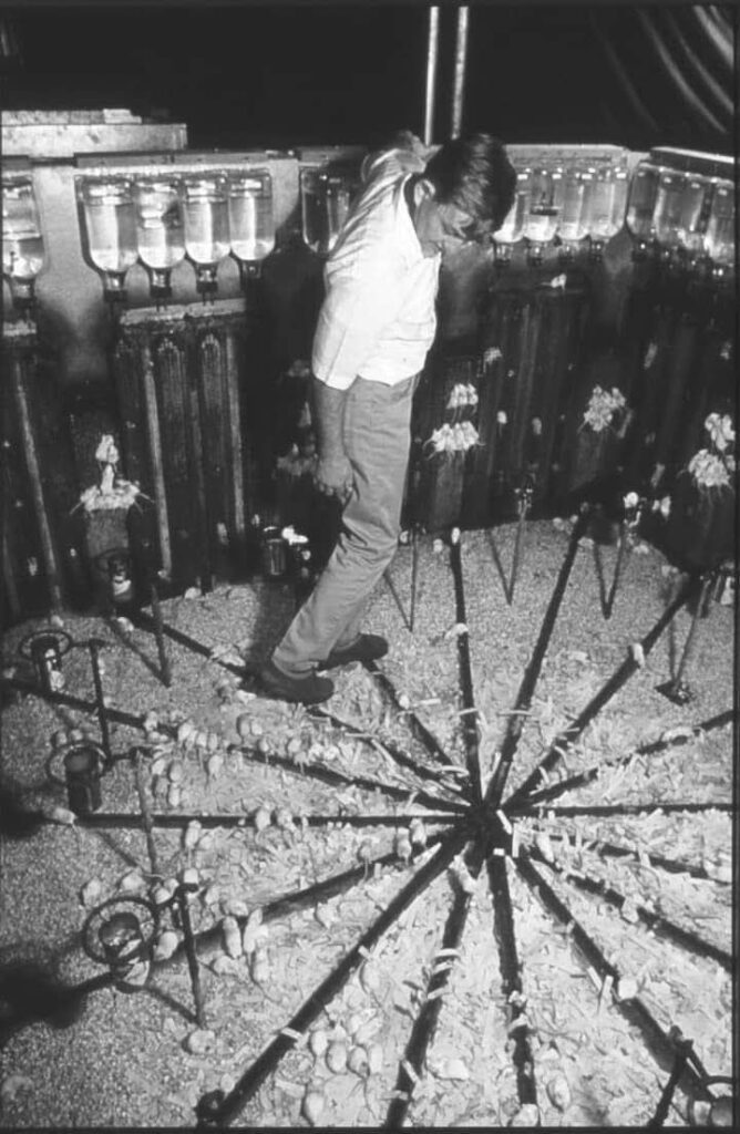 EL EXPERIMENTO "UNIVERSO 25"