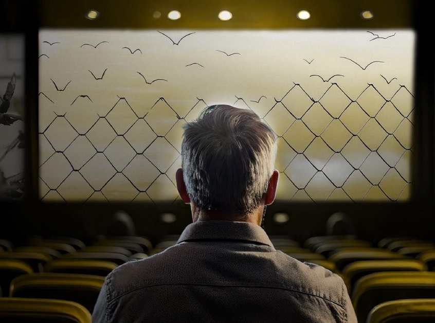 En la foto, un hombre mira del otro lado de una alambrada como vuelan las aves