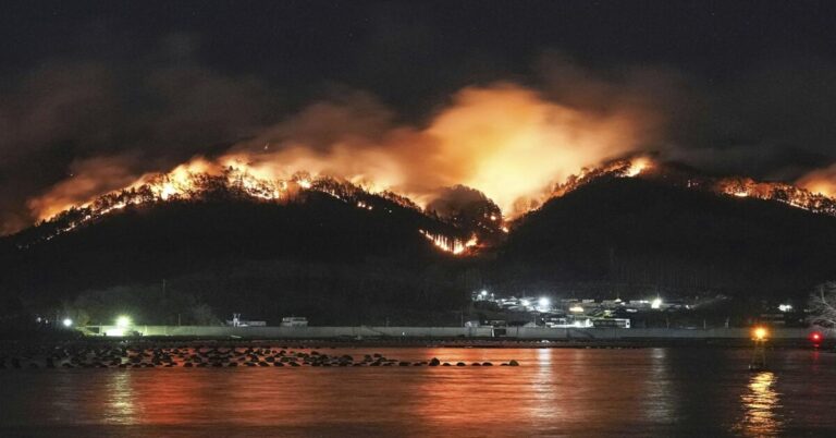 EN LA FOTO, IMÁGENES DE LOS INCENDIOS FORESTALES EN jAPÓN, DE NOCHE