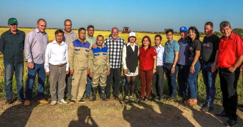 EL ARROZ DE MARRERO Y LOS FANTASMAS DE VIETNAM