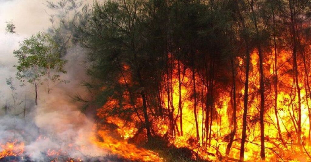 PINAR DEL RÍO ARDE Y EL RÉGIMEN NI SE INMUTA