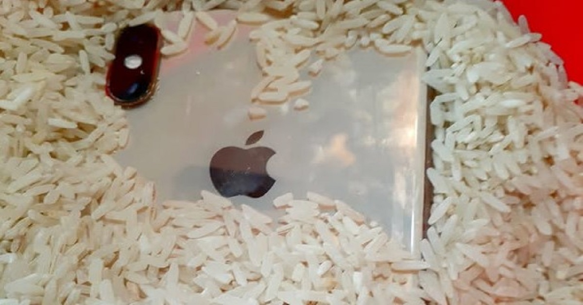 En la foto, un celular dentro de arroz