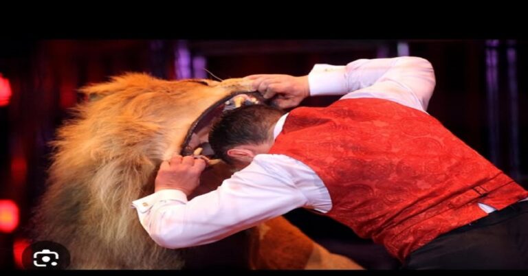 En la foto, un domador de leones mete la cabeza dentro de la boca de un león