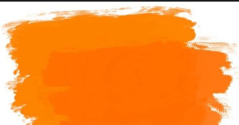 En la foto un manchón naranja