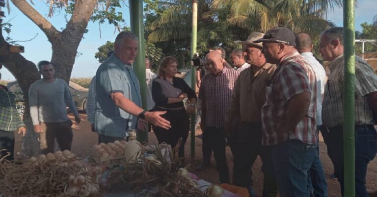 En la foto, el presidente cubano habla con dirigentes campesinos en una finca