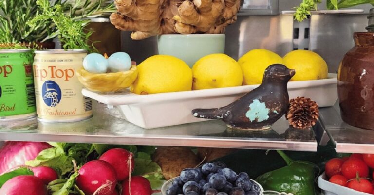 En la foto, interior de un refrigerador en una casa en Europa