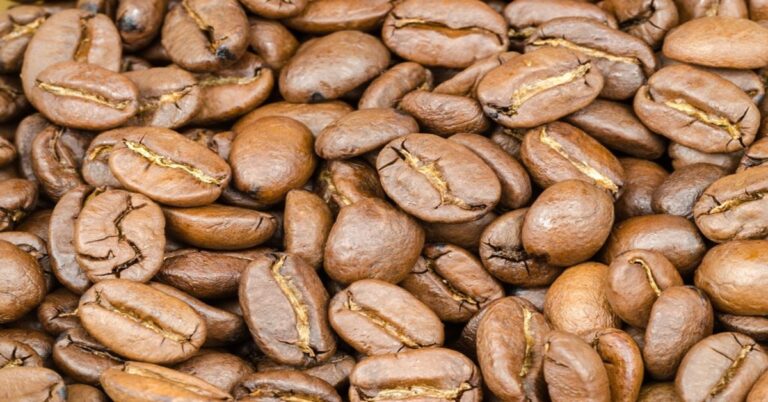 En la foto, café en granos
