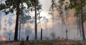En la foto, imagenes del incendio en Pinar del río