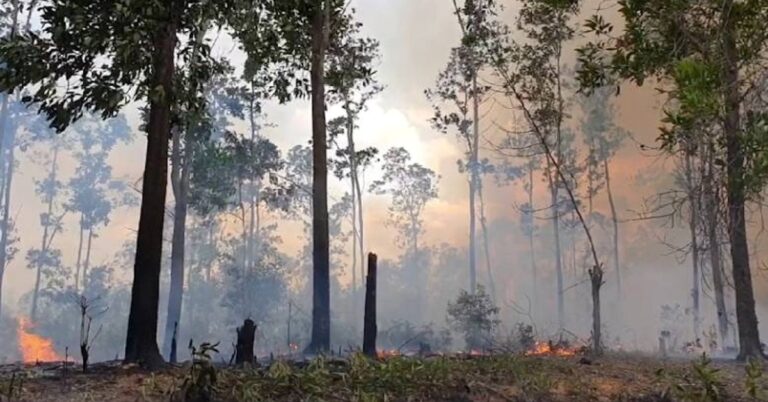 En la foto, imagenes del incendio en Pinar del río