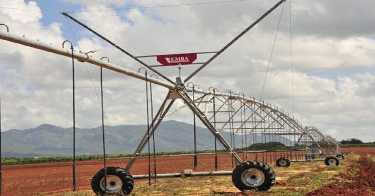 En la foto, un sistema de riego