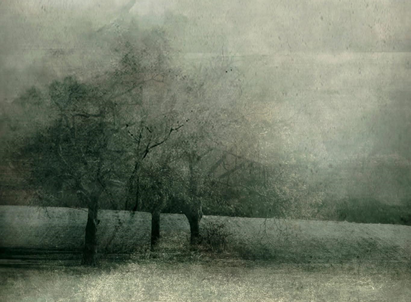 En la foto, una pintura en la que se ve un árbol un día de niebla tupida