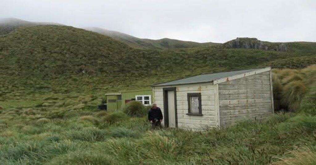 LAS CABAÑAS SALVADORAS DE NUEVA ZELANDA 4 En la foto, cabañas en las silas del sur