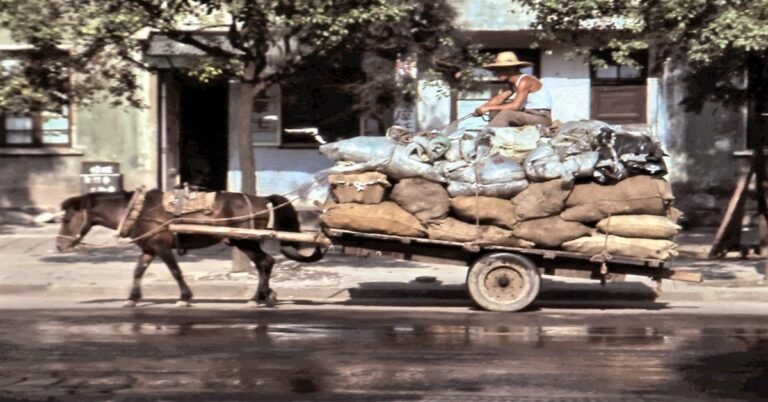 En la foto, un hombre carga carbón en un carretón de caballo en Camagüey
