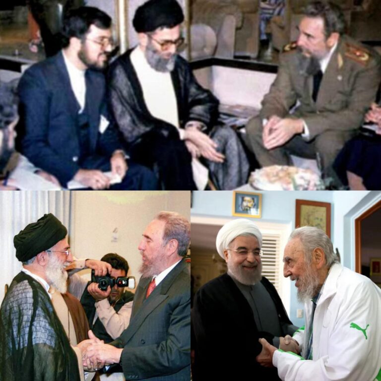 En la foto, Fidel Castro reunido con diferentes dirigentes iraníes