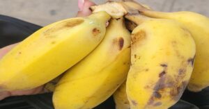 En la foto, una mano de plátanos maduros