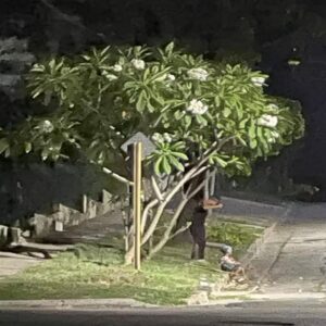 En la foto, una imagen de Santiago de Cuba de noche