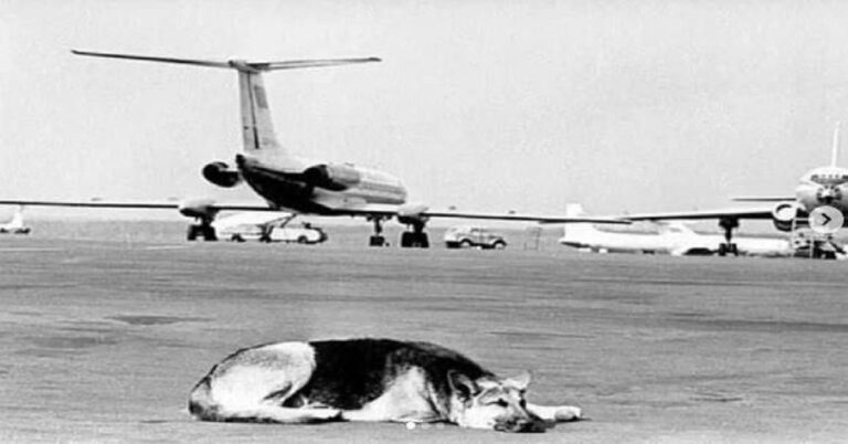 En la foto, Palma, en la losa del aeropuerto de Vnukovo