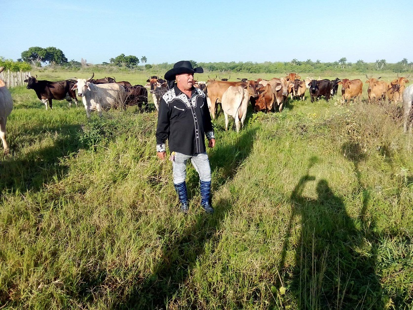 En la foto, un supuesto ganadero cubano posa para una foto y para Díaz-Canel