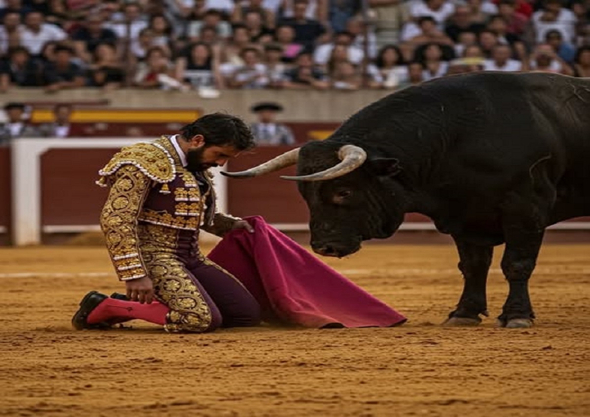 En la imagen, un torero de rodillas y un toro enfrente