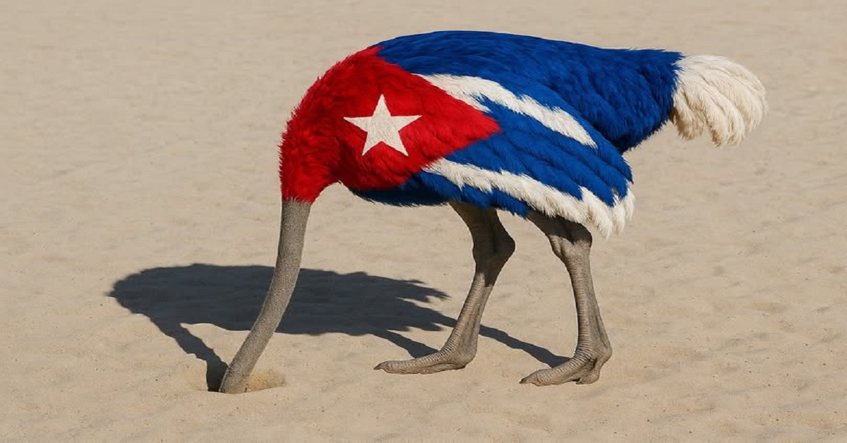 En la foto, un aveztruz vestido con la bandera cubana y la cabeza en la arena