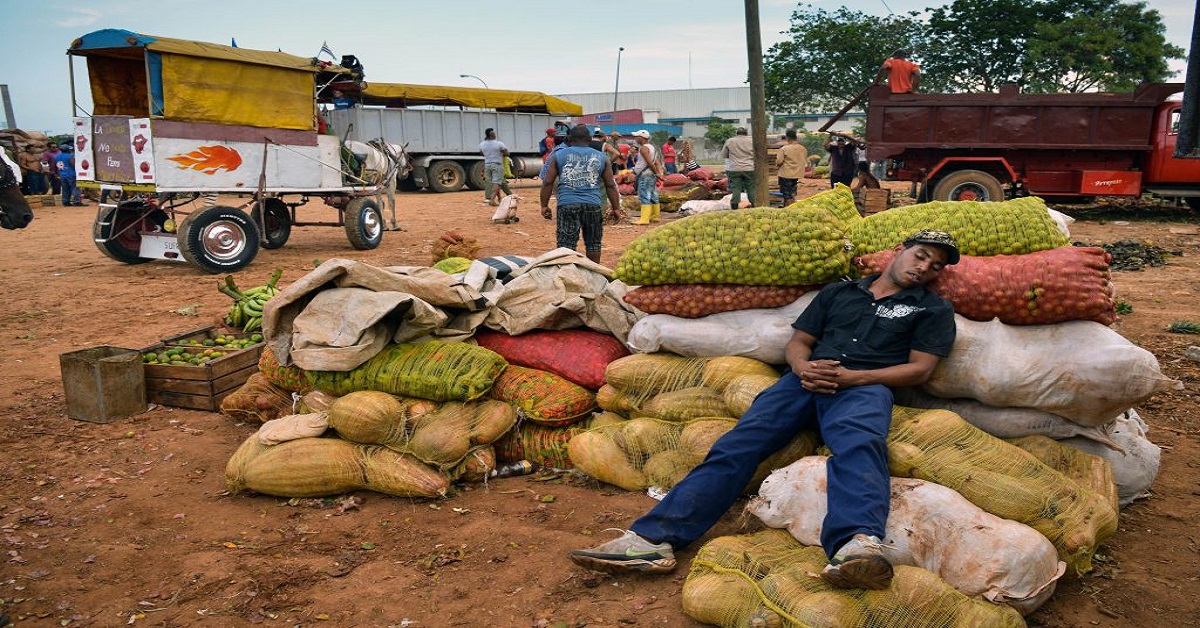 En la foto, una escena común con los productos agropecuarios en Cuba