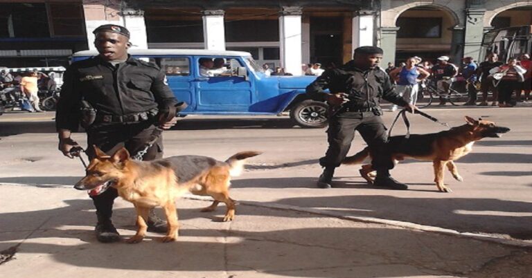 En la foto, tropas de binas negras con pastores alemanes meten miedo a la población cubana