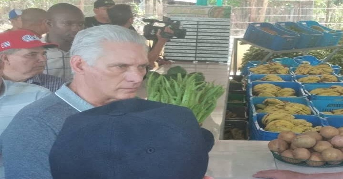 En la foto, Díaz-Canel en el mercado de los milagros